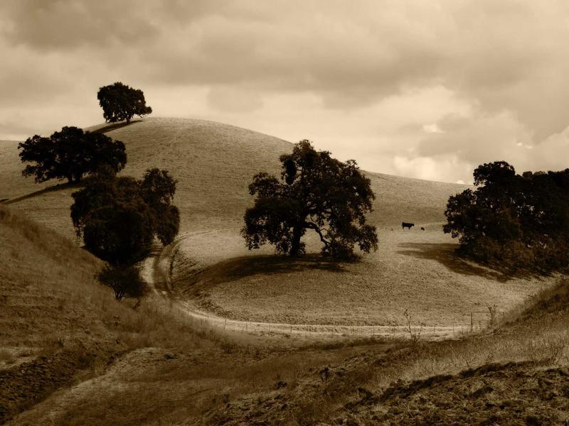 sudoku strategy guide screenshot 1