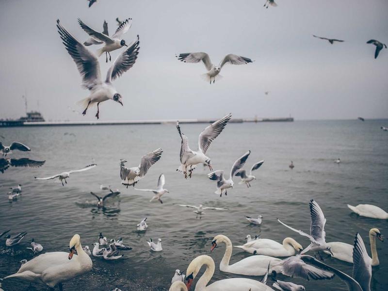 sudoku strategy guide